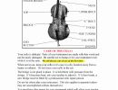 cellomethod1 30 page