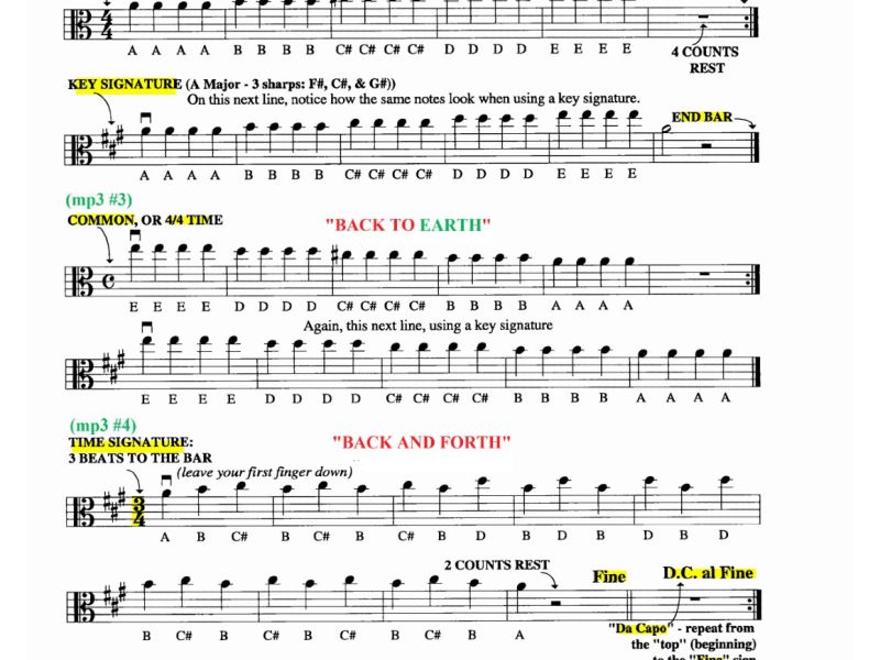 violamethodpg1 30 page