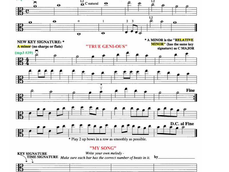 violamethodpg1 30 page